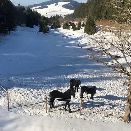 Hotel Waldhotel Auerhahn Hochkopfhaus *