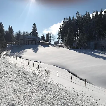 Hotel Waldhotel Auerhahn Hochkopfhaus *
