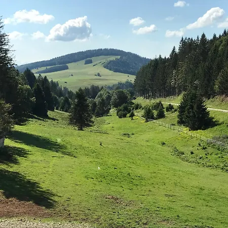 Hotel Waldhotel Auerhahn Hochkopfhaus Todtnau