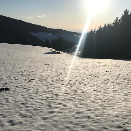 Hotel Waldhotel Auerhahn 