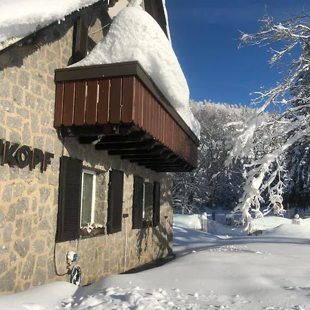 Отель Waldhotel Auerhahn 