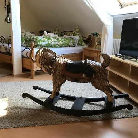 Отель Waldhotel Auerhahn 